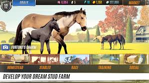 Free online flash horse racing games and pc downloads. Rival Stars Horse Racing Pikpok Pikpok
