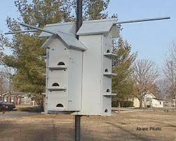 Free wren house plans easy diy project to attract birds. Purple Martin House Plans Hole Size Novocom Top