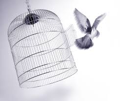 Bioshock Bird Or Cage Pin By Alvia Louister On Health In 2020 The Caged Bird Sings Sansa Sansa Stark