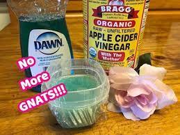 May 18, 2020 · here are the most effective ways to get rid of gnats: How To Get Rid Of Gnats Inside The House Youtube