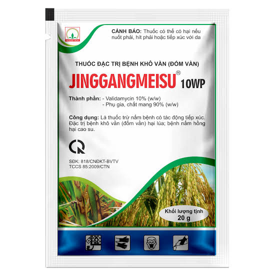 Jinggangmeisu 10WP