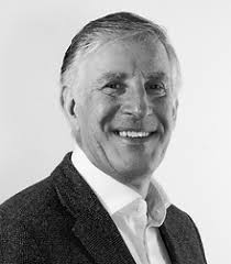 Executive Search and Consulting