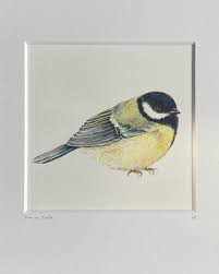 Sharon Spitz (@spitzsharon) • Instagram photos and videos