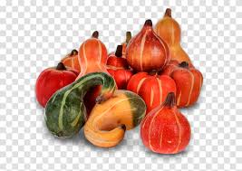 We did not find results for: Pumpkin Fall Autumn Harvest Thanksgiving Season Calabaza Plant Vegetable Food Gourd Transparent Png Pngset Com