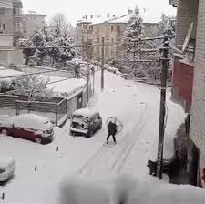Animiert guten morgen lustig gif; Morgen Auf Dem Weg Zur Arbeit Lustige Bilder Spruche Witze Echt Lustig Lustige Bewegte Bilder Lustige Bilder Bilder