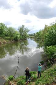Además de la reforestación, es vital empezar por obras de conservación de suelo en los puntos donde sea más necesario de las zonas incendiadas, incluso, añadió que otra manera de apoyar es crear. Rio De Primavera Rio Y Bosque De La Primavera Composicion De La Naturaleza Reflexion De Las Nubes En El Rio De La Primavera Arboles En La Orilla De Un Rio En Primavera