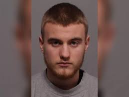 Named and shamed: 217 of the criminals dealt with by our courts in 2020 so  far