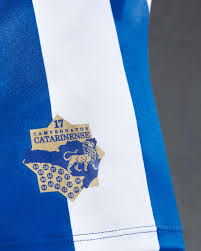 Seneste indbyrdes kampe mellem avai fc og cs alagoano. Novas Camisas Do Avai Fc 2020 2021 Umbro Mantos Do Futebol