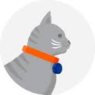 Search more high quality free transparent png images on pngkey.com and share it with your friends. Optimum Wellness Plans Banfield Pet Hospital