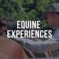 Equine Experiences | Guardian Revival
