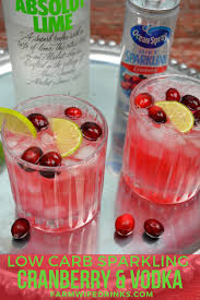 Try it in a traditional blend, served with fruit or in a clean, crisp mixed drink. Low Carb Cranberry And Vodka The Farmwife Drinks