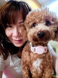 Follow me if you ❤️ 🐕 ❤️ Animals ❤️ Nature