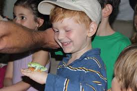 Young Leadership Divison (YLD) of Greater Stamford, New Canaan and  Darien...