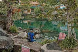 Kawasan wisata talaga herang menawarkan berbagai jenis kegiatan yang bisa dilakukan oleh para pengunjungnya. Talaga Herang Harga Tiket Masuk Spot Foto Terbaru 2021
