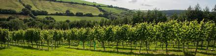 International wine and spirit competition judging panel tasting note: Welcome Camel Valley
