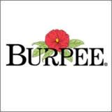 We did not find results for: Burpee Coupon Codes 2021 50 Discount August Promo Codes