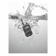 Image result for ICOM IP100H