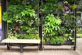Pin On Plants People And Garden Projects