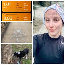 Was 1985 by Bowling for Soup originally an SR-71 song?