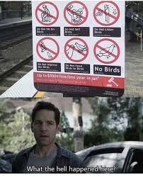 38 Try Not To Laugh Extremely Funny Memes To Make You Laugh Out Loud Viralapk Com In 2020 Extremely Funny Memes Funny Relatable Memes Crazy Funny Memes Hilarious memes that will make every introvert laugh out loud❄ daily news is interesting channel about shocking,, funny, and crazy facts and videos. pinterest