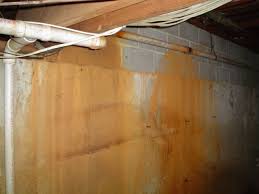 Most inside waterproofing frameworks have a channel around the edge of the basement for the deplete tile. Iron Bacteria Indiana Foundation Service