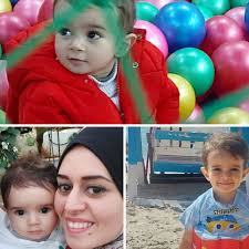 Fundraiser for Ann Vanmeerbeek by Haya Abu karesh : Donate to our survival  ,Help a family from Gaza