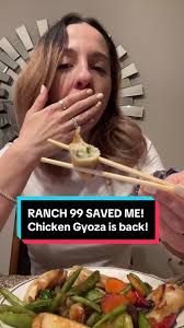 Ajinomoto Chicken Potstickers