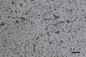 Image result for bulat steel micrograph