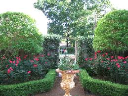 Landscaping with double knockout roses. Midwest Gardening Great Ideas For Using Roses In Your Gardens And Landscape