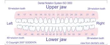 Dental Treatment General Dentistry