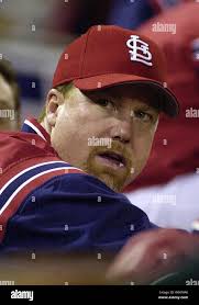 St. Louis Cardinals slugger Mark McGwire, watches the game between the  Cardinals and the Montreal Expos from the dugout at Busch Stadium in St.  Louis