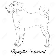 Appenzeller Sennenhund Hund Umreiss Vektor Illustration Lizenzfrei Nutzbare Vektorgrafiken Clip Arts Illustrationen Image 84999940