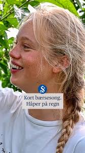 Her håper de på mer regn! Les saka på smp.no 🎥Amanda Helseth/Eli Ruset  Lager