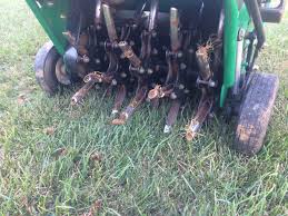 We researched the best lawn aerators currently available, so you can pick the right option for your yard. Diy Aerating Vs Using A Lawn Aeration Service In Cincinnati Dayton Ohio And N Kentucky