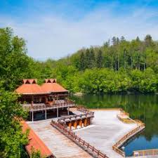 Fauna lacului este săracă,fiind reprezentată de şarpele de casă,tritonul cu creastă,plosniţa de apă,crustacee inferioare şi somonul pitic american. Cele Mai Bune 10 Hoteluri Din BÄile Tusnad PreÈuri De La 103 Lei