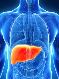 Mistakes In Liver Function Test Abnormalities And How To