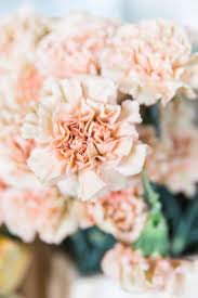 Send the perfect anniversary flowers, birthday flowers, or mother's day flowers quickly and easily! Mds Cleveland Workshop Photo Recap Mayesh Wholesale Blog Colonial House Of Flowers Nicole Clarey Photograph Carnations Flowers Carnation Wedding Bouquet