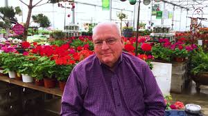 The firebush is a shrub that has bright orange to red flowers that bloom from the spring until the fall of the year. Gardening Tips By Neil Sperry Choosing Groundcovers For Shade