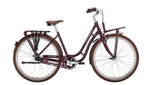 Zweirad Feldmann 46499 Hamminkeln Dingden Fahrrad Fahrrader Bikes Fahrradangebote Cycle Fahrradhandler Fahrradkauf Angebote Mtb Rennrad E Bike