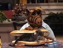 Alf cat eater