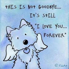 This Is Not Goodbye It S Still I Love You Forever Pet Loss Pet Loss Grief Pet Remembrance