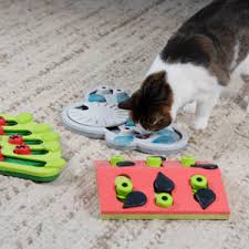 Works great as a dry cat food dispenser and puzzle feeder! Amazon Com Nina Ottosson By Petstages Rainy Day Puzzle Play Interactive Cat Treat Puzzle Pet Supplies