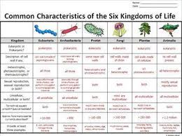 Biochemistry Basics Pogil Answer Key Pdf The Six Kingdoms Of Life Graphic Organizer Editable In 2020 Science Lesson Activities Biology Lessons Teaching Biology