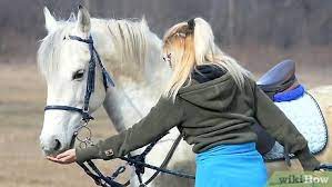 Como Ganhar A Confianca Do Seu Cavalo 10 Passos