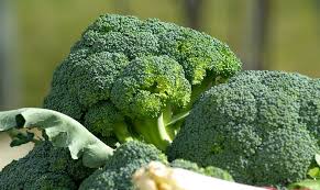 Although screenings for prostate cancer are one tool for early detecti. Broccoli The Key To Cancer Prevention Cancer