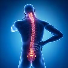 Maybe you would like to learn more about one of these? Back And Neck Boston Orthopaedic Spine