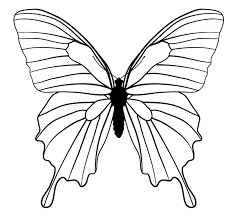 Butterflies To Draw Butterfly Drawing Butterfly Line Drawing Animal Drawings