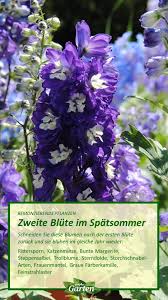 Pin Auf Der Garten Im Sommer