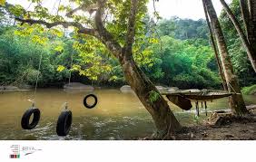 Ērya by suria hot spring bentong 3*. Great Activities With Nature At Eryabysuria Hot Spring Bentong Outdoor Hot Springs Nature