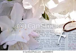 And the reading of a familiar passage may even feel like it went in one ear and out the other, and nothing seems to speak to the heart until the preacher brings. Holiday Easter Photo Of Bible Verses Mark 16 Easter Sunday Scripture Background With Flowers Closeup Of The Account In The Canstock